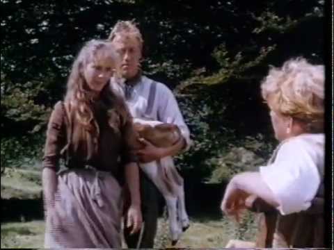 Movies like summer in the country 1980
